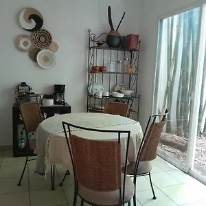 Casa Mariposas , Cancún Mexico